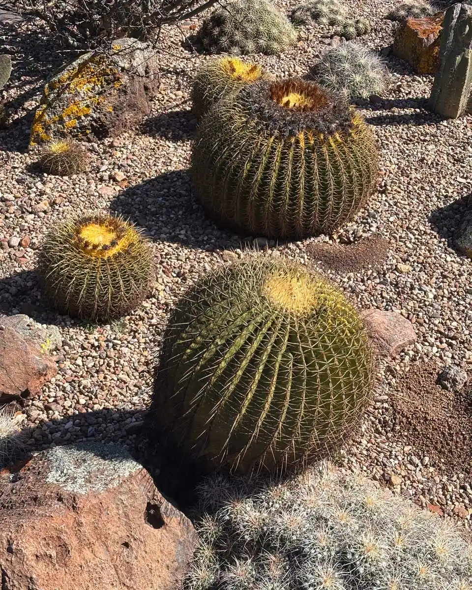 Jard&iacute;n Bot&aacute;nico El Charco del Ingenio in San Miguel de Allende Mexico 1