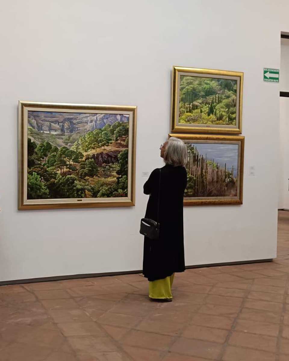 Museo de Arte de Mazatl&aacute;n in Mazatlan Mexico