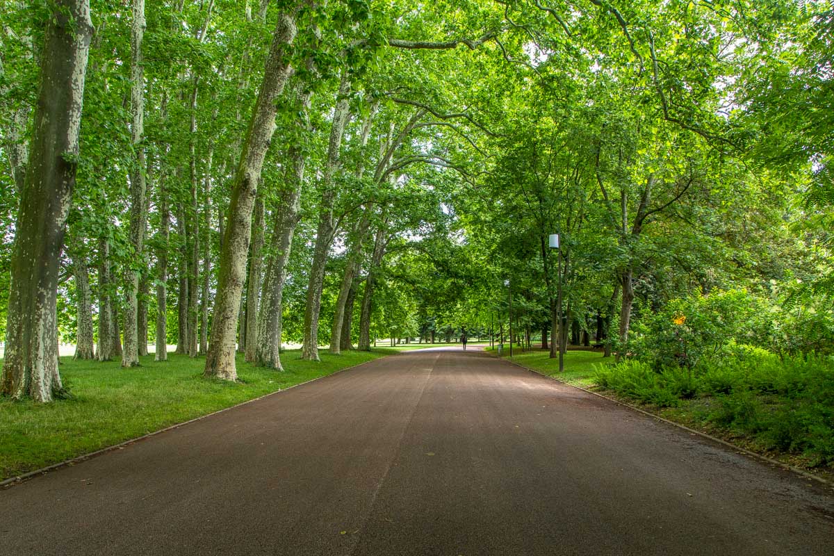 Parc de la Tête d'Or in Lyon France (2)