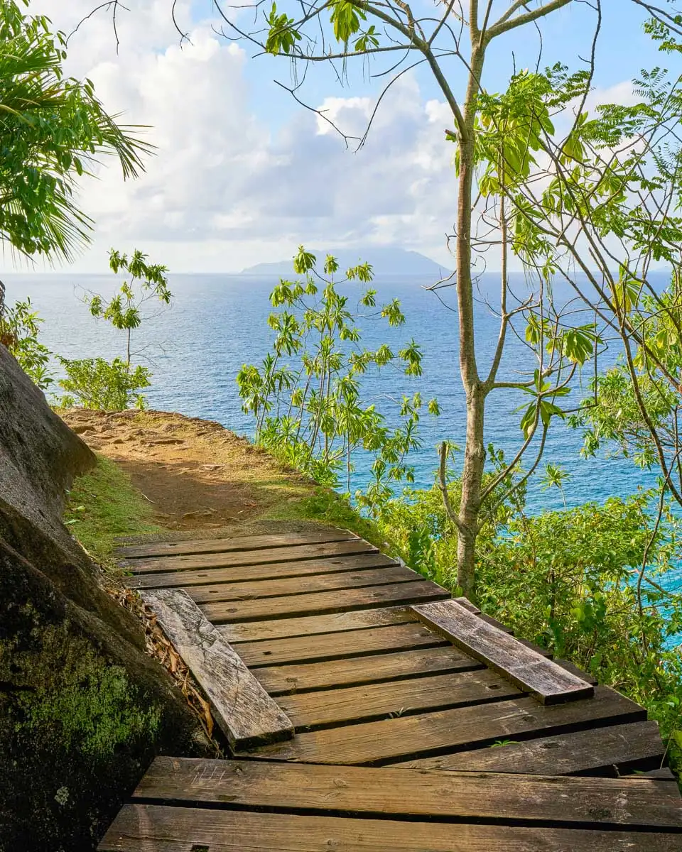 Part of the Anse Major Trail on Mahe Island Seychelles