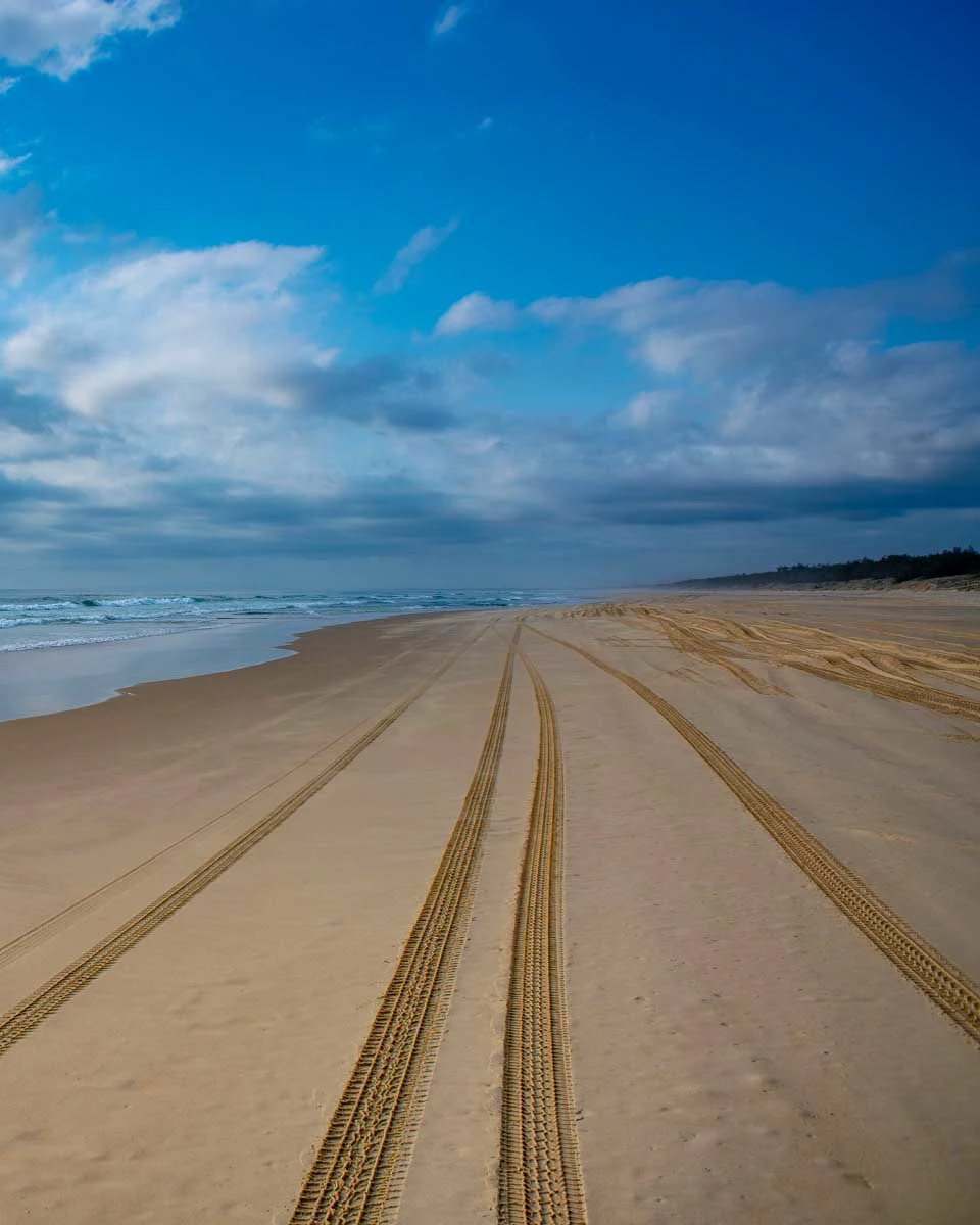 Tire tracks on the Great Beach Drive in the Great Sandy National Park on a tour from the Sunshine Coast Australia