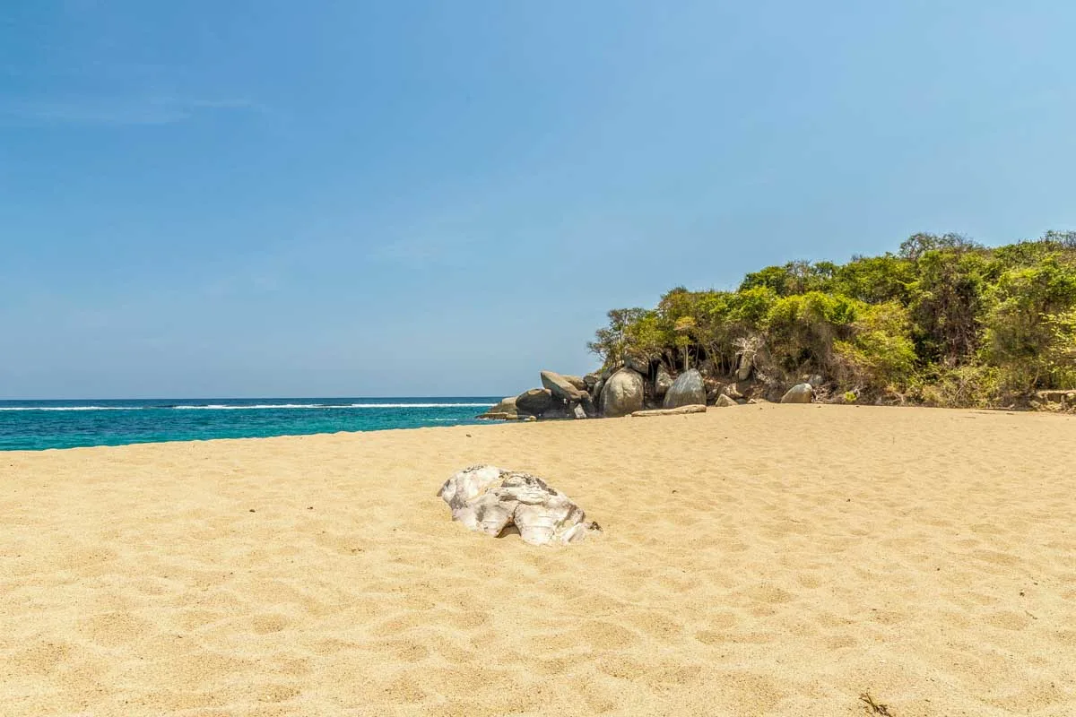 Beach view in Tayrona on a sailing tour from Santa Marta Colombia