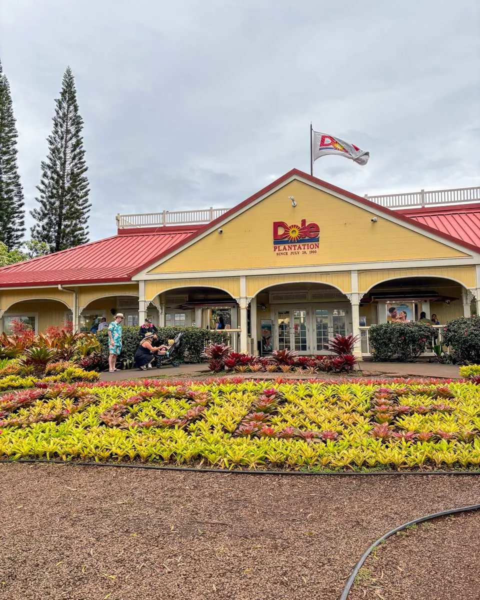 Dole pineapple farm plantation in Waikiki Honolulu Hawaii (31)
