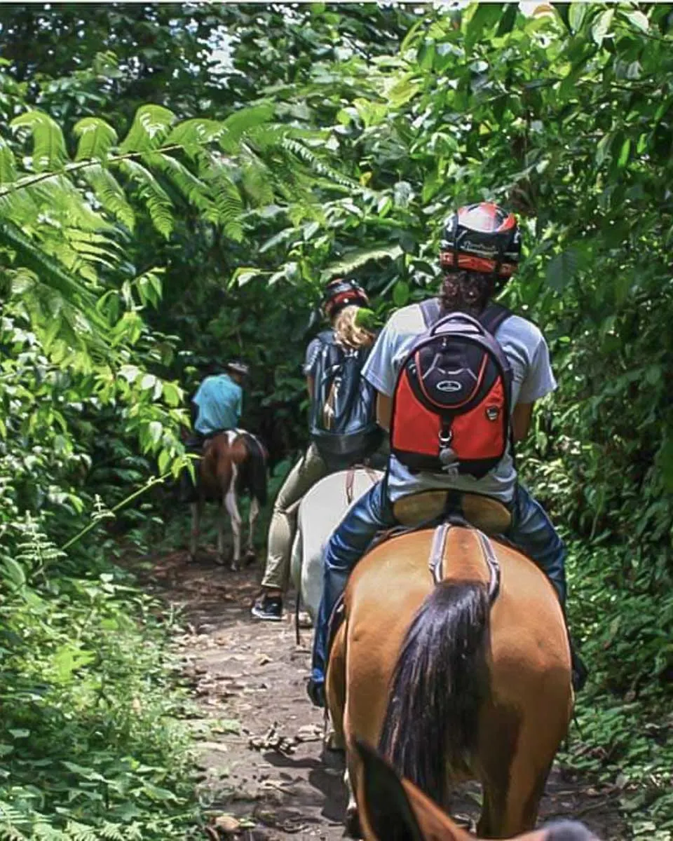 Horseback-tour-in North Shore Oahu Hawaii