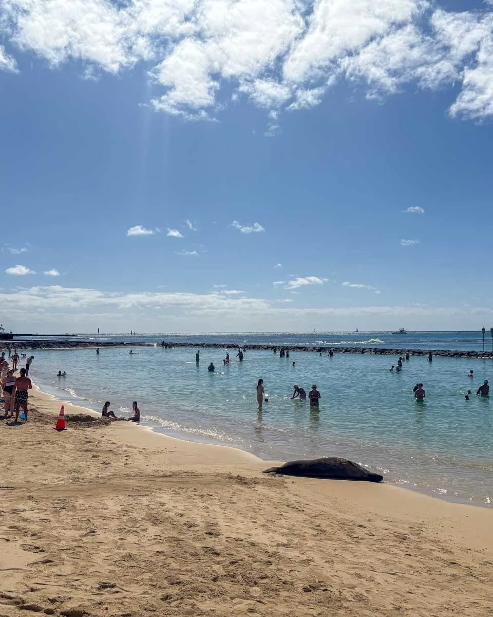 Kuhio Beach in Waikiki Honolulu Hawaii (79)
