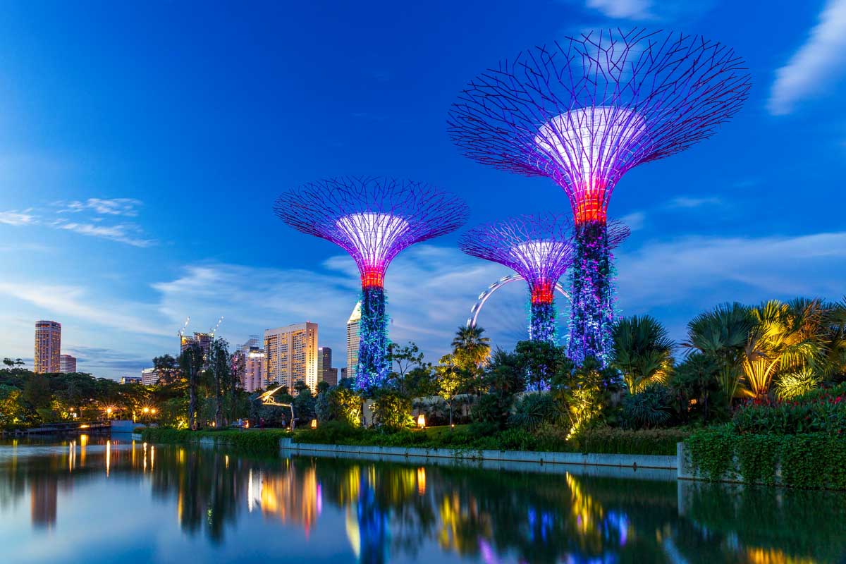 The Supertree Garden at night in Singapore