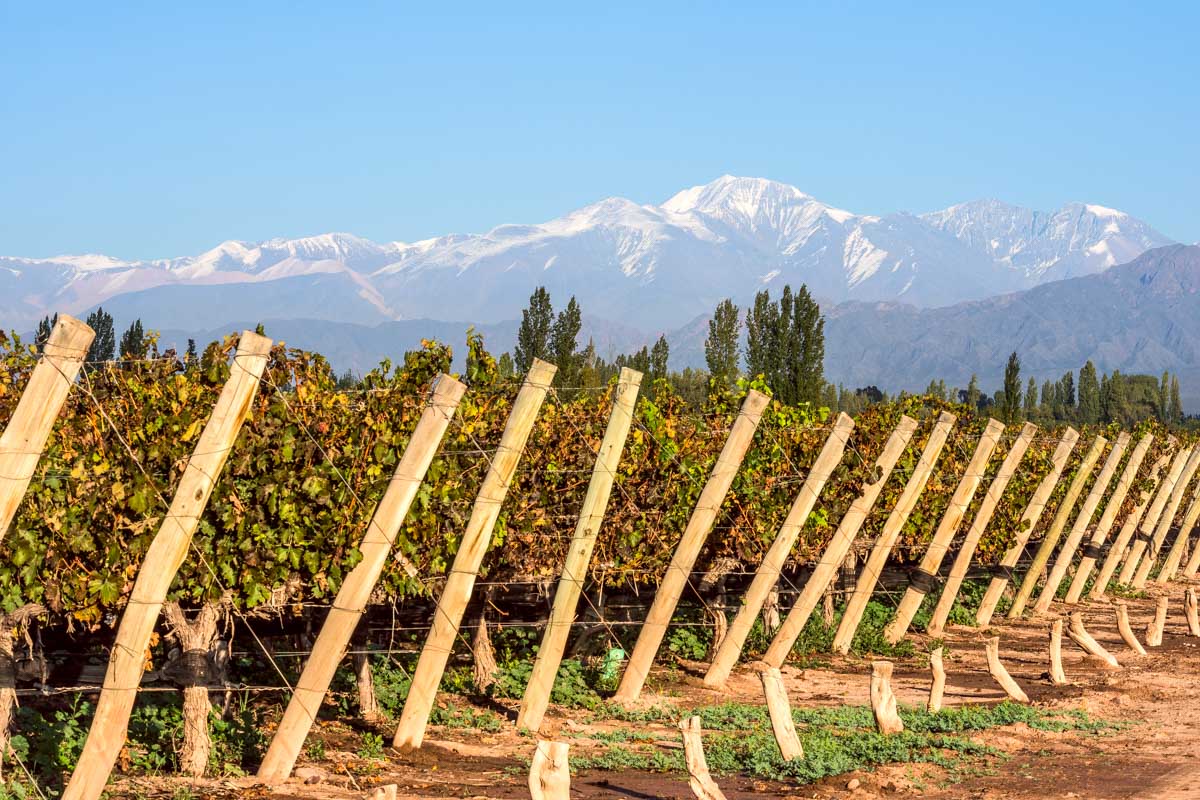 A person rides a horse in the mountains outside of Mendoza Argentina