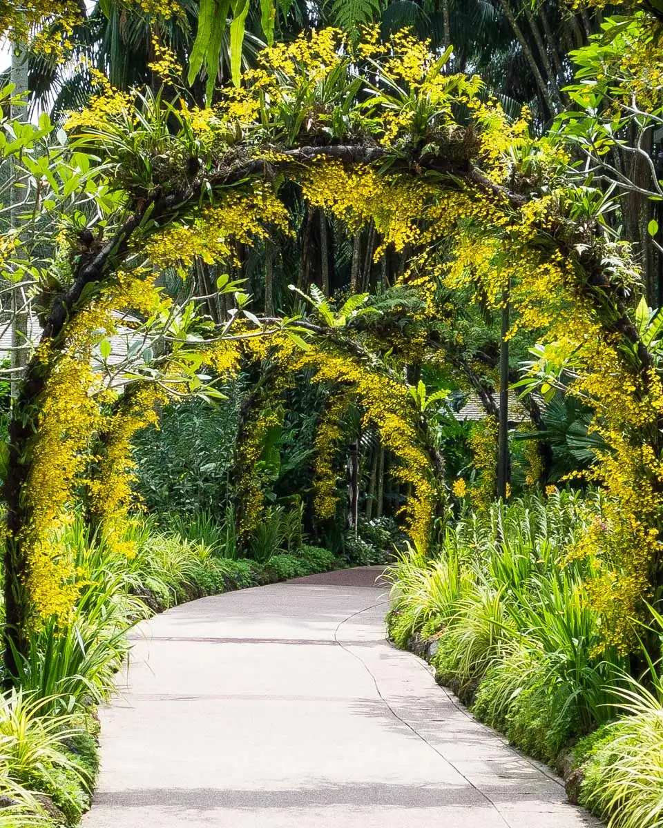 Walking through the Singapore Botanic Gardens in Singapore 1