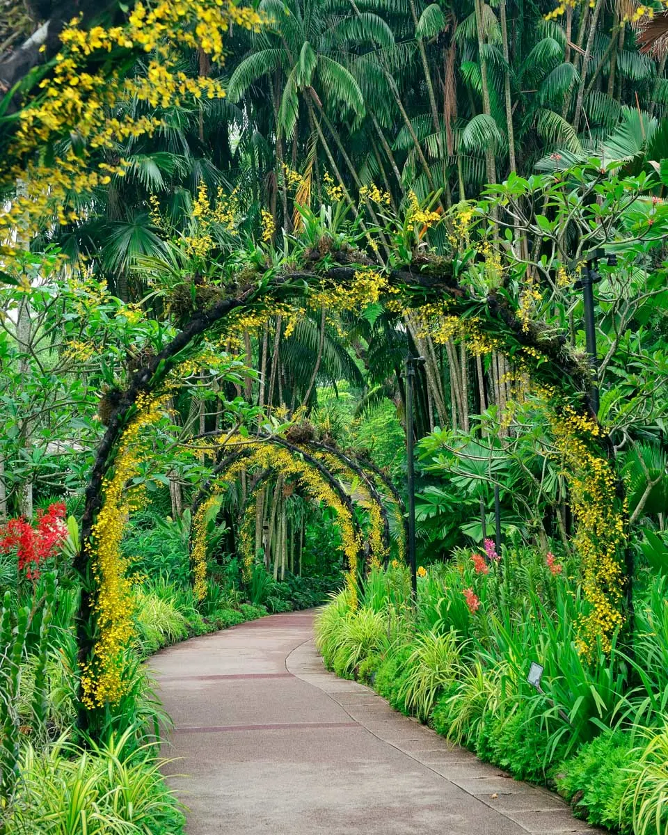 Walking through the Singapore Botanic Gardens in Singapore