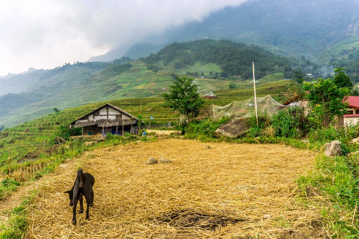 A home seen in the hills of Sapa Vietnam
