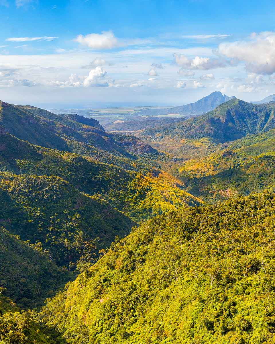 Black River Gorges National Park Mauritius
