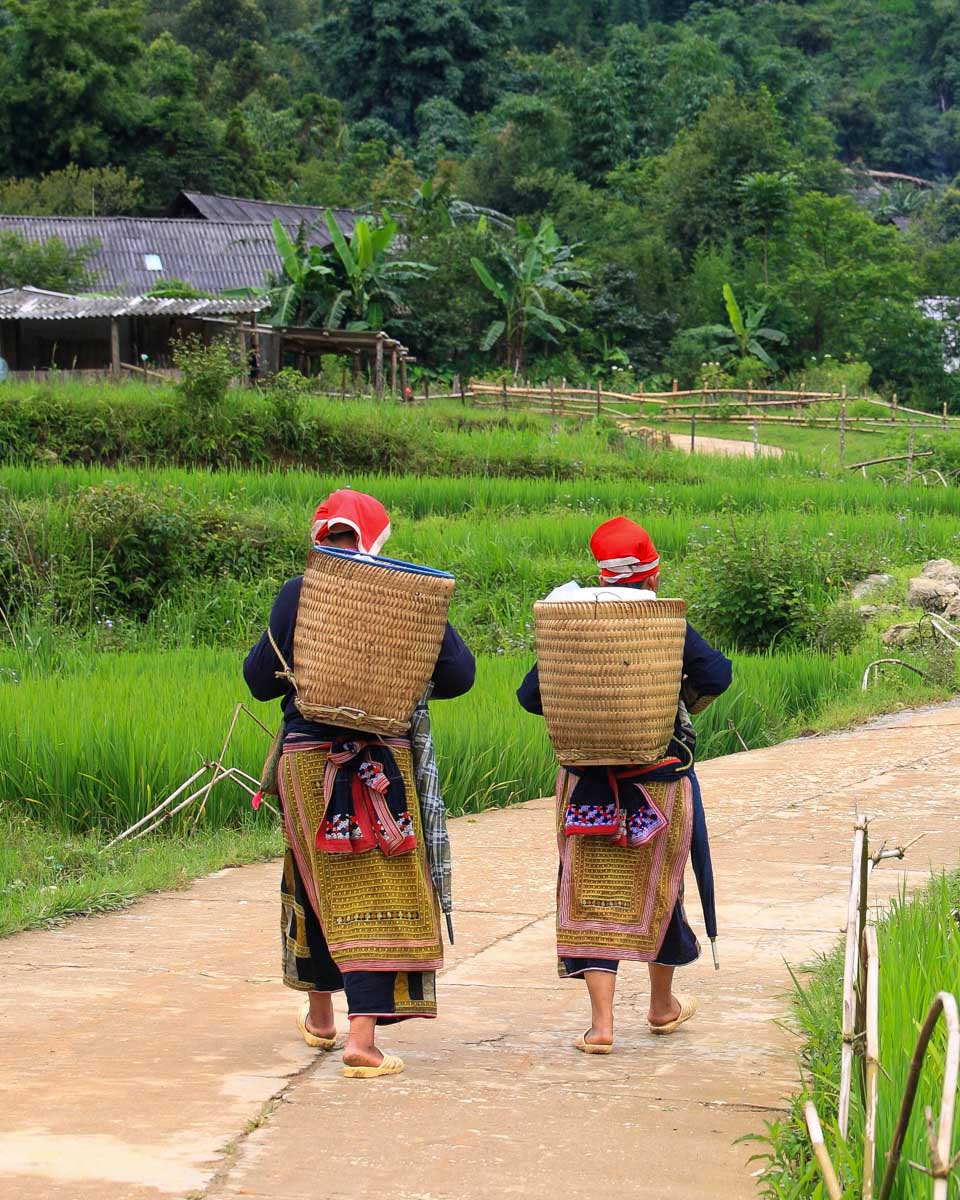 Two-local-women-walk-in-the-hills-of-Sapa-on-a-hiking-tour-from-Sapa Vietnam