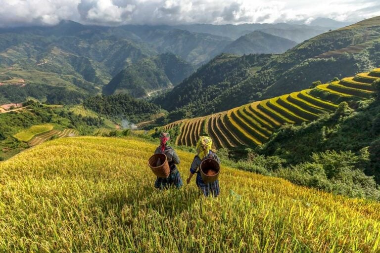 Women stand in a rice field in Sapa Vietnam
