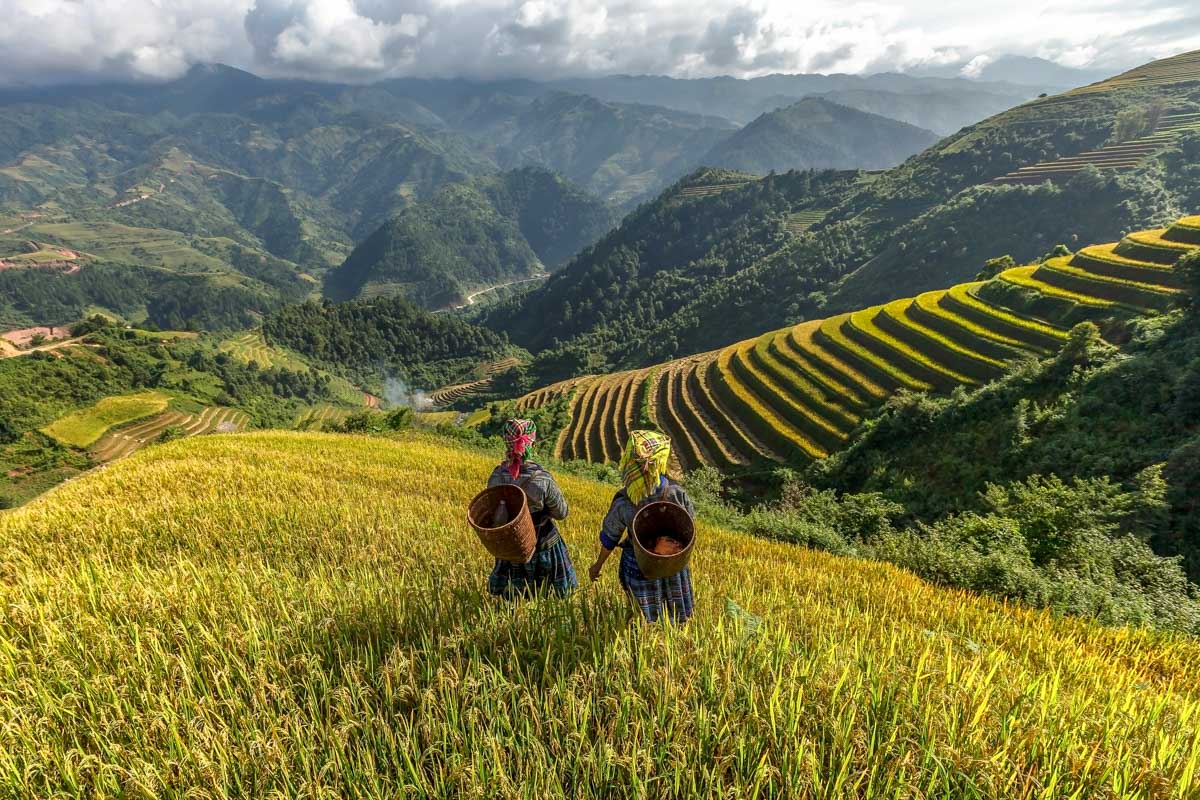 10 Best Things to do in Sapa, Vietnam
