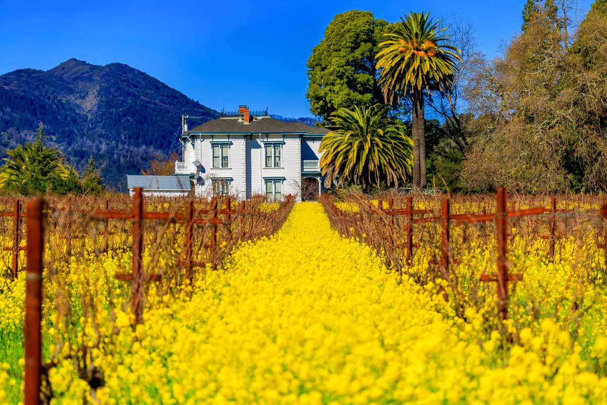 Where to Stay in Napa Valley: 5 Best Areas & Hotels