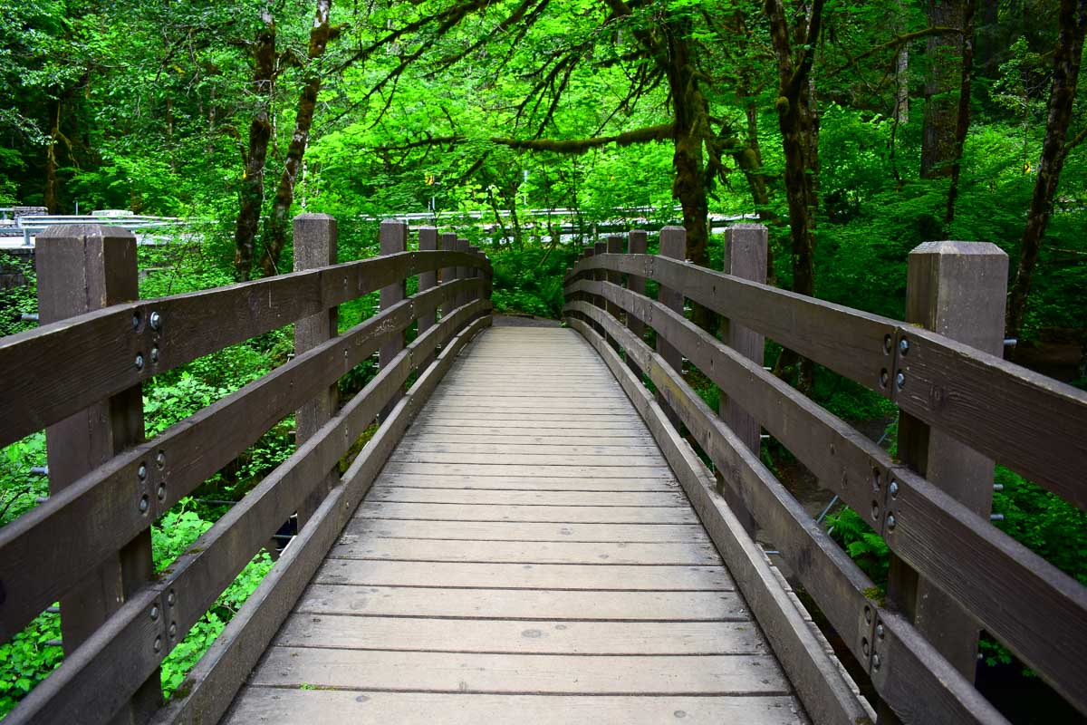 A walking path in the forest around Multnomah Falls near Portland Oregon
