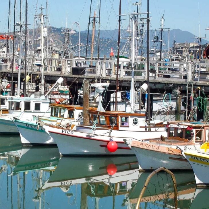 Boats at Fishermans Wharf San Francisco Calidornia (1)
