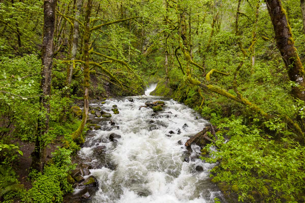 Bridal Veil Falls State Park seen on a tour from Portland Oregon