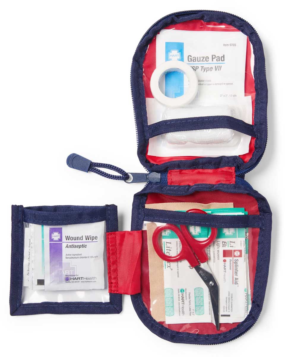 Day Hike First-Aid Kit from REI