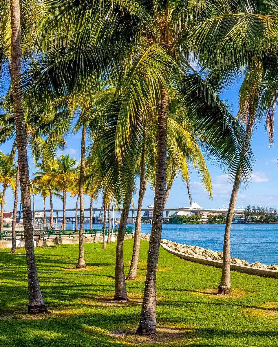 Early morning light in Bayfront Park Miami Florida 1