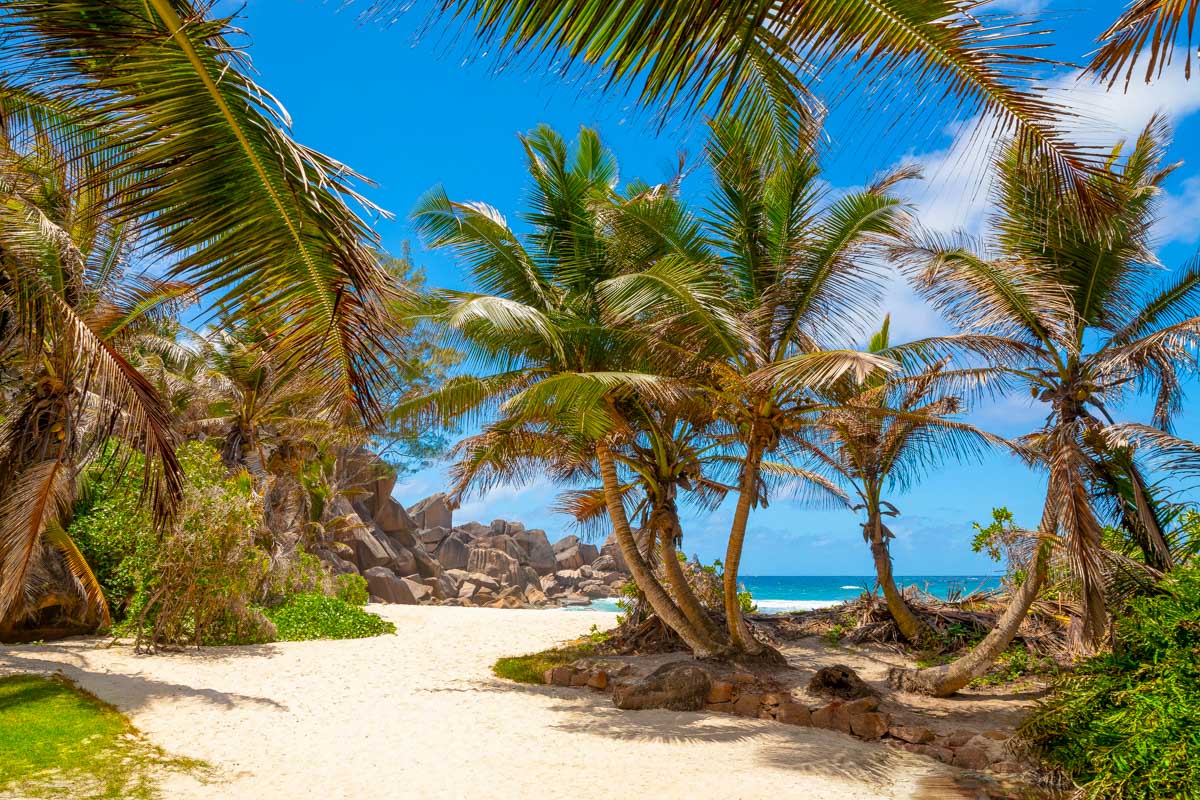 Where to Stay in Seychelles: 3 Best Areas & Hotels