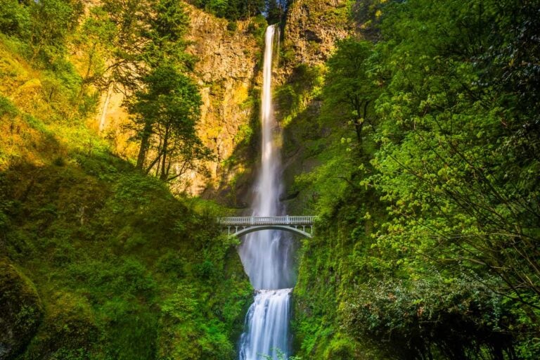 Multnomah Falls in the morning near Portland Oregon