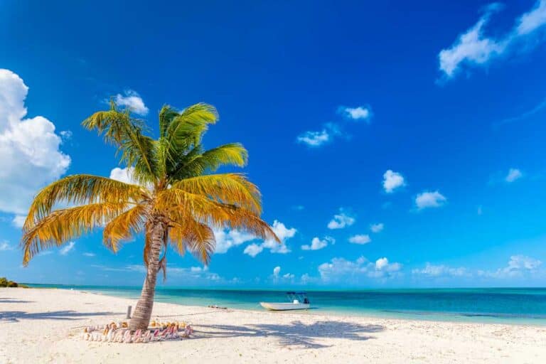 No name tropical beach in Antigua and Barbuda