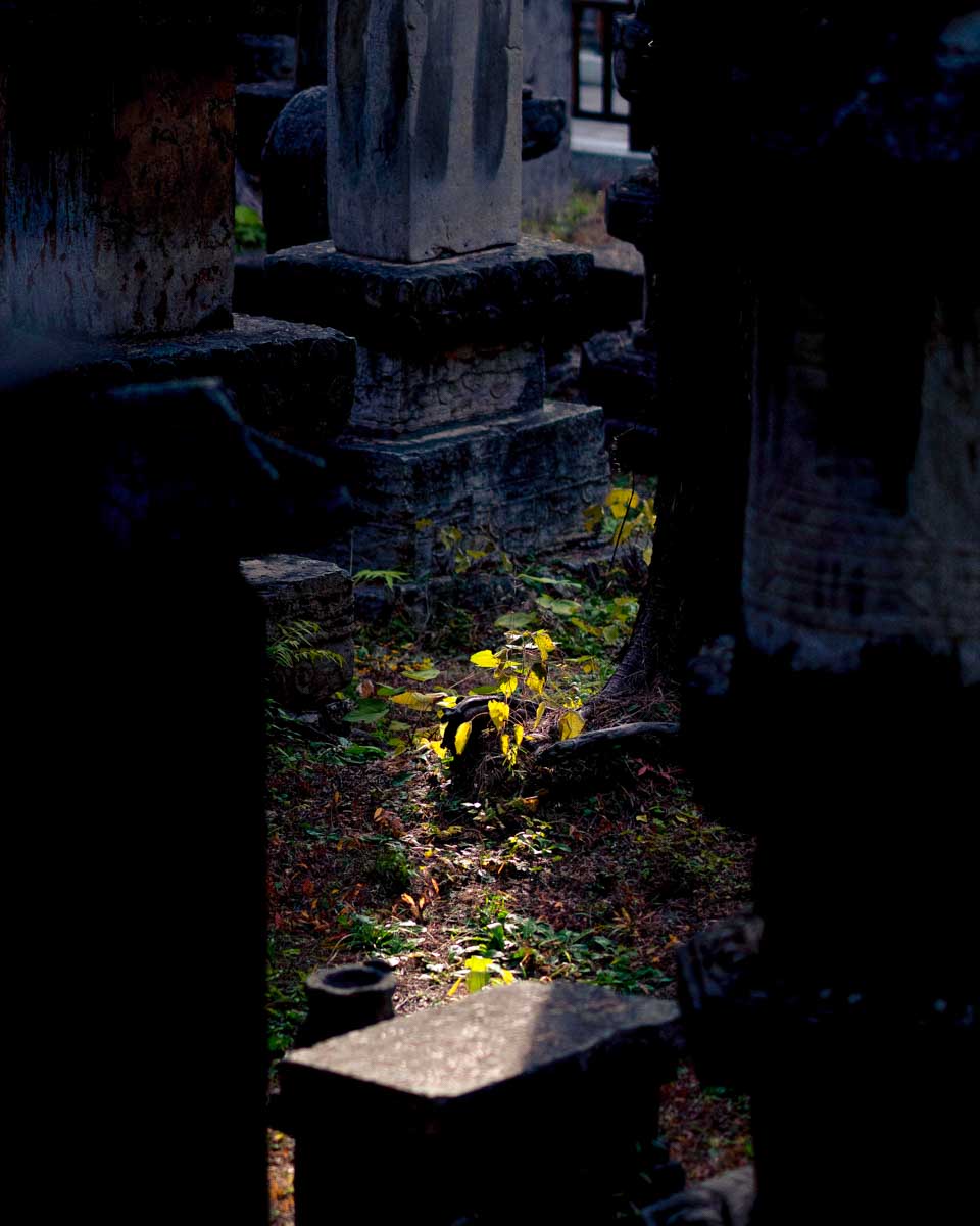 Old Settlers Cemetery Charlotte North Carolina