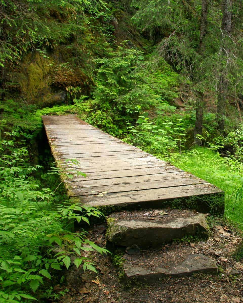 Part of the Chilkoot Trail seen on a tour from Skagway Alaska
