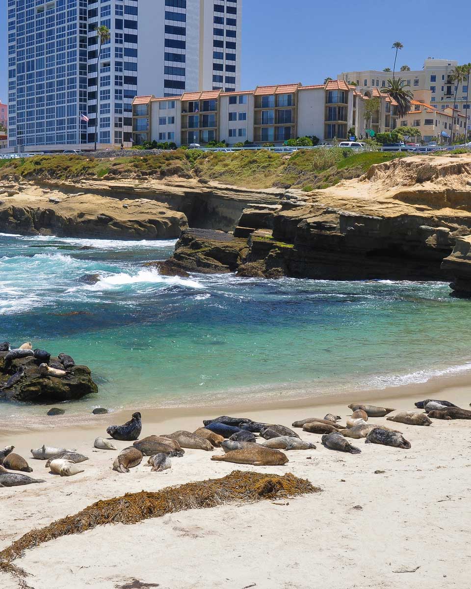 The La Jolla shoreline in San Diego California (1)