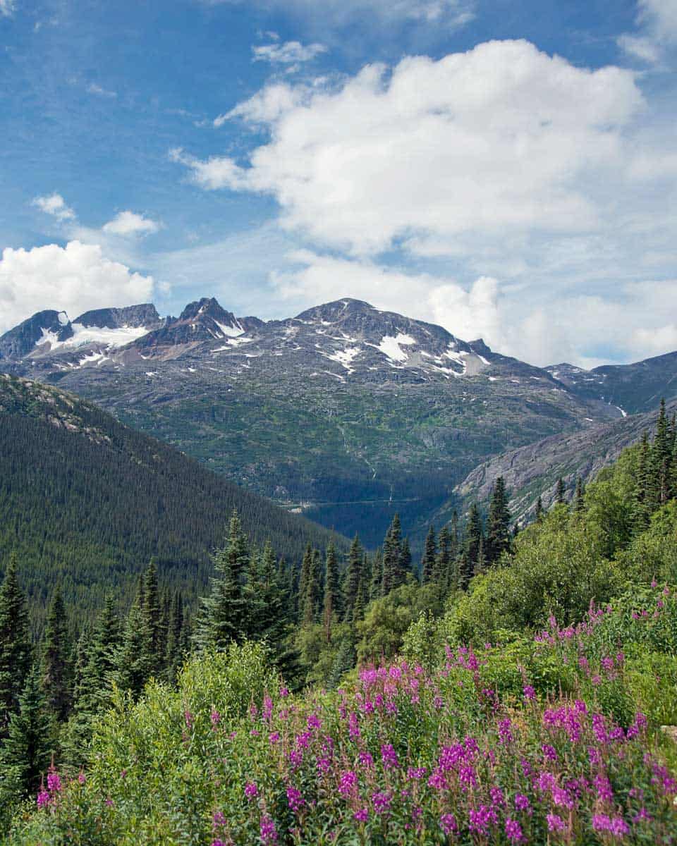 The scenery along the White Pass on a tour from Skagway Alaska