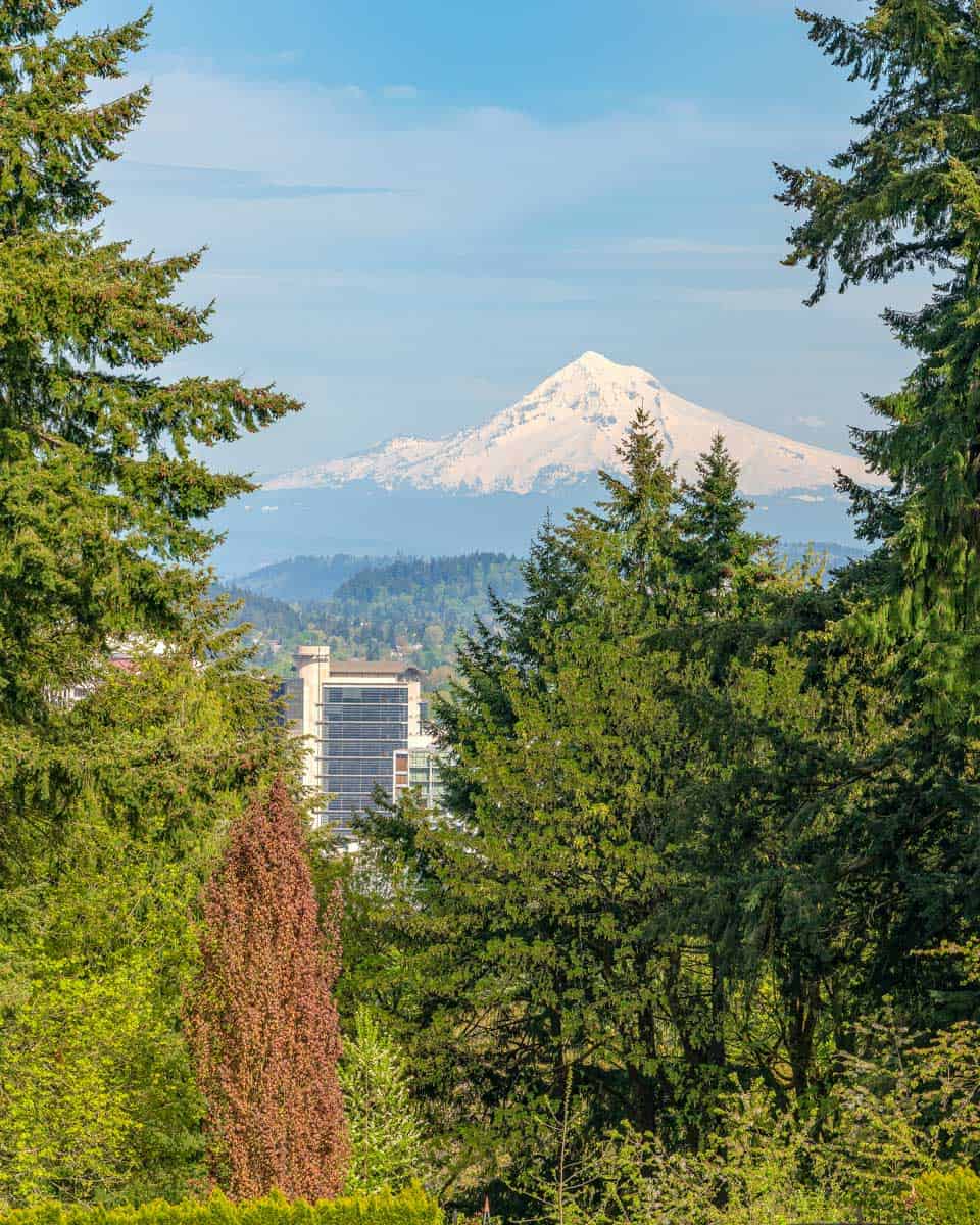 View of Mt. Hood and the city of Portland Oregon from Washington Park