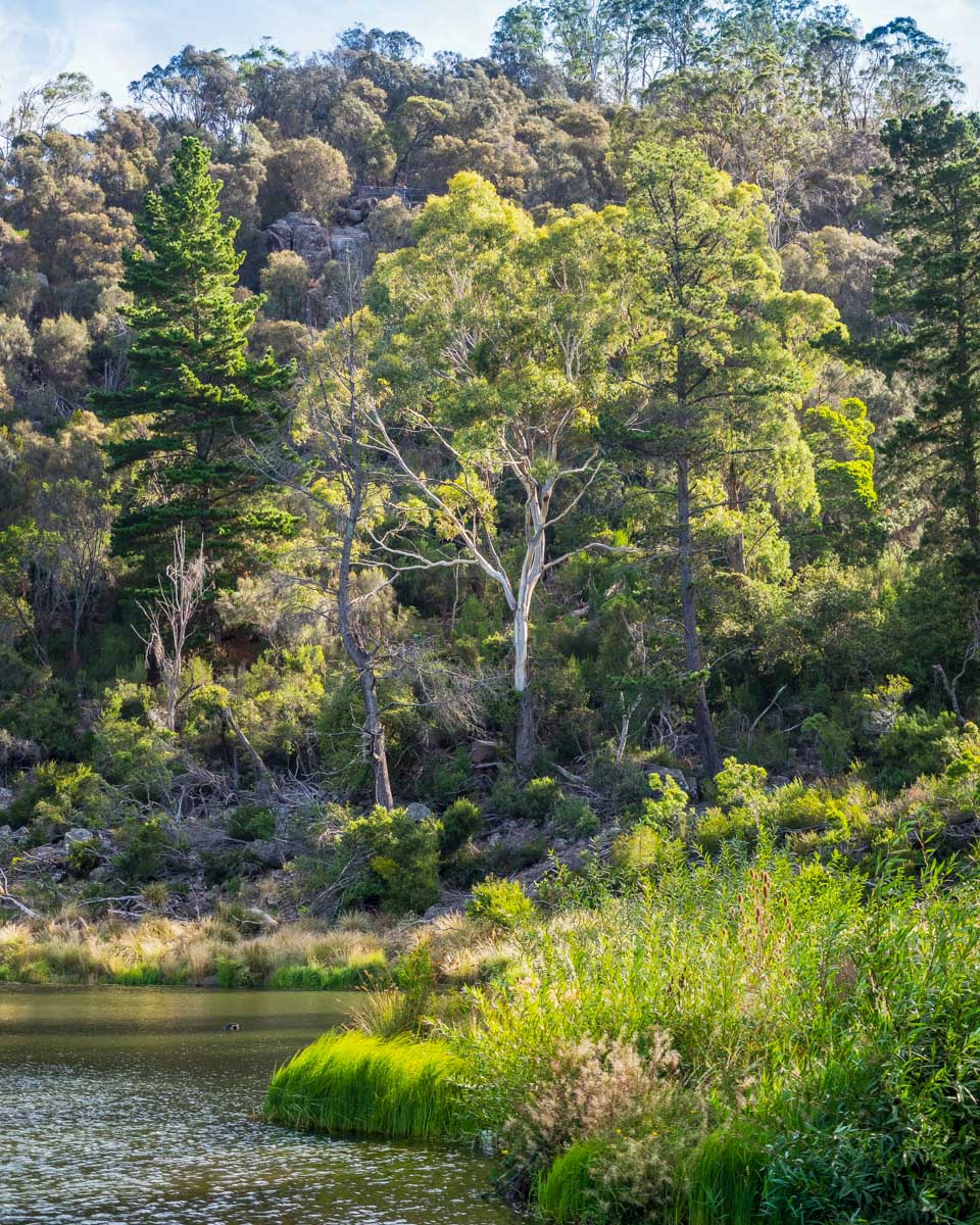 Views of Cataract Gorge in Launceston, Tasmania (2)