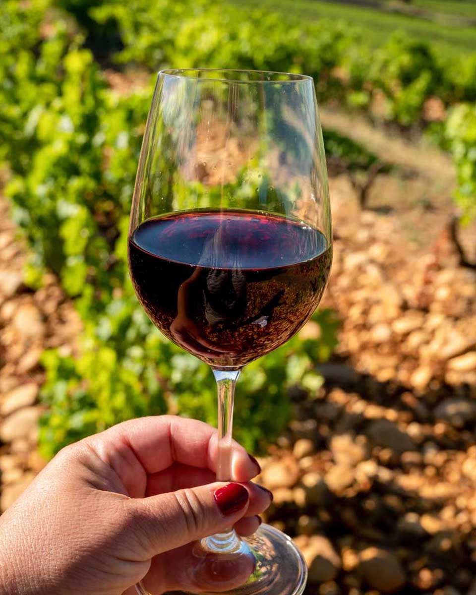 Wine-drank-on-a-tour-from-Napa Valley California