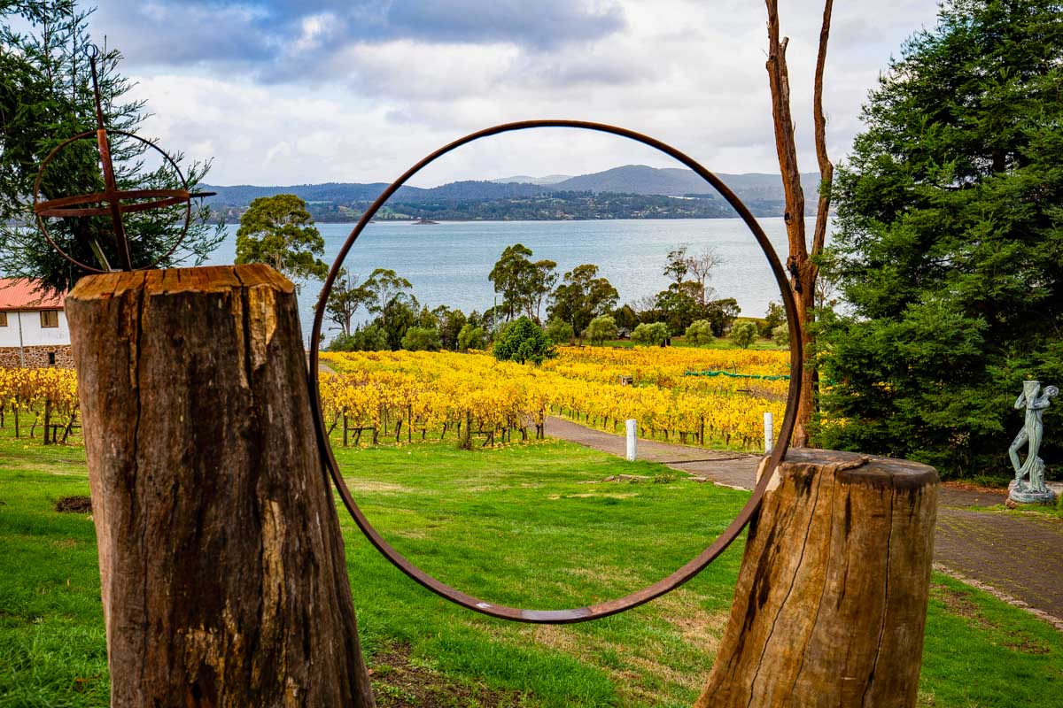 Winery (Vineyard) in Tamar Valley from Launceston, Tasmania