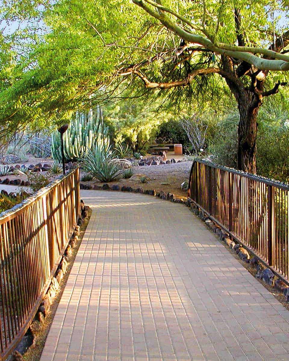 Desert Botanical Garden walkway near Scottsdale Phoenix Arizona
