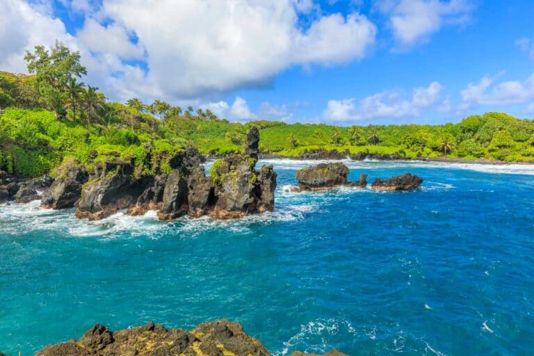 Looking at Waianapanapa Black Sand Beach in Maui Hawaii (1)