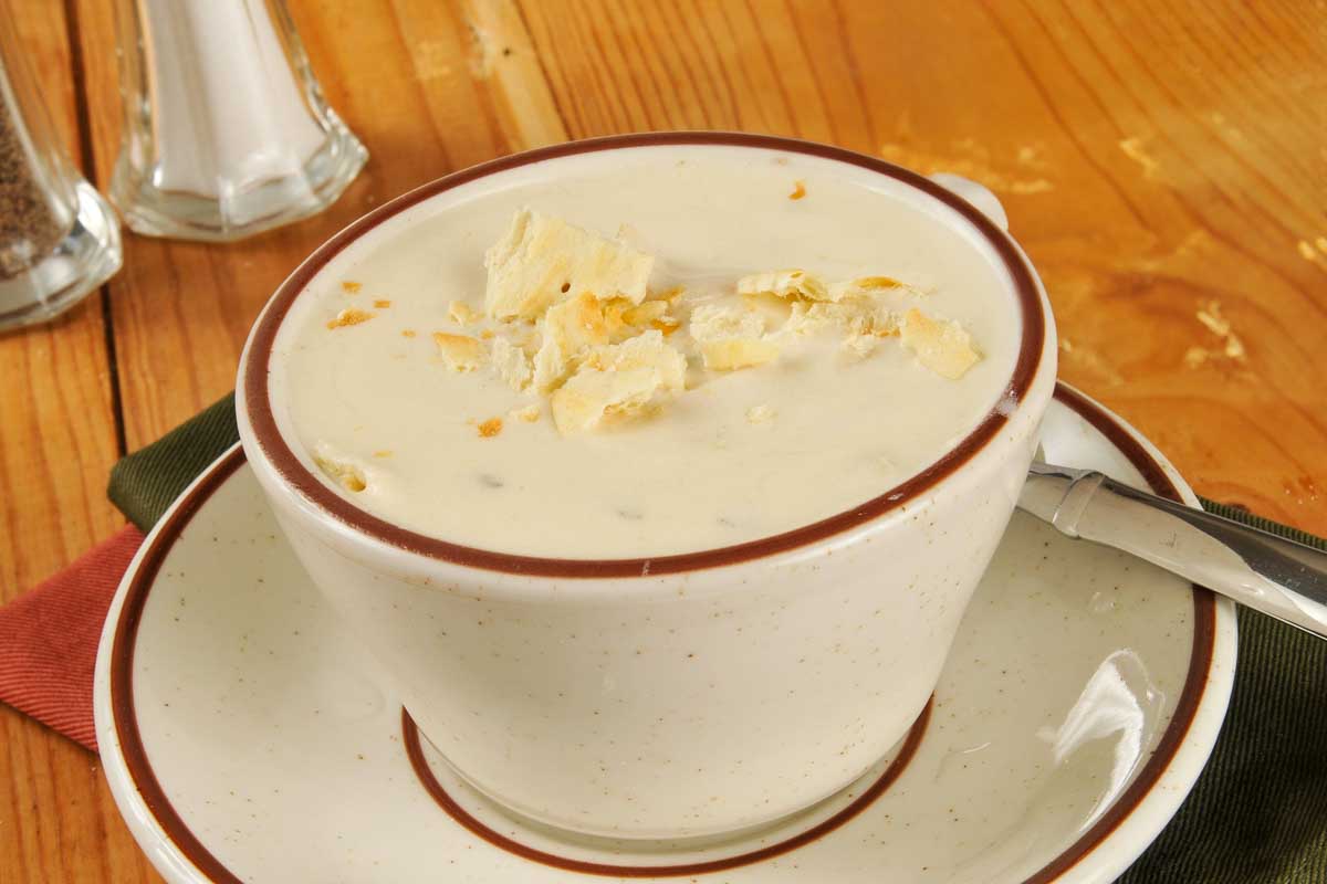 A cup of chowder in Bar Harbor Maine