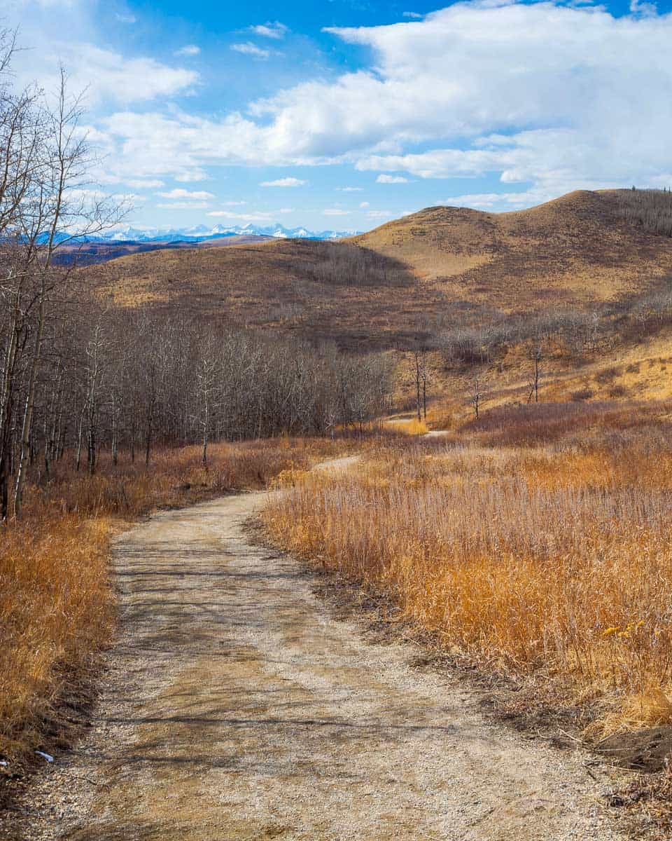 A trail through Glenbow Ranch Provincial Park Near Cochrane, Alberta, Canada