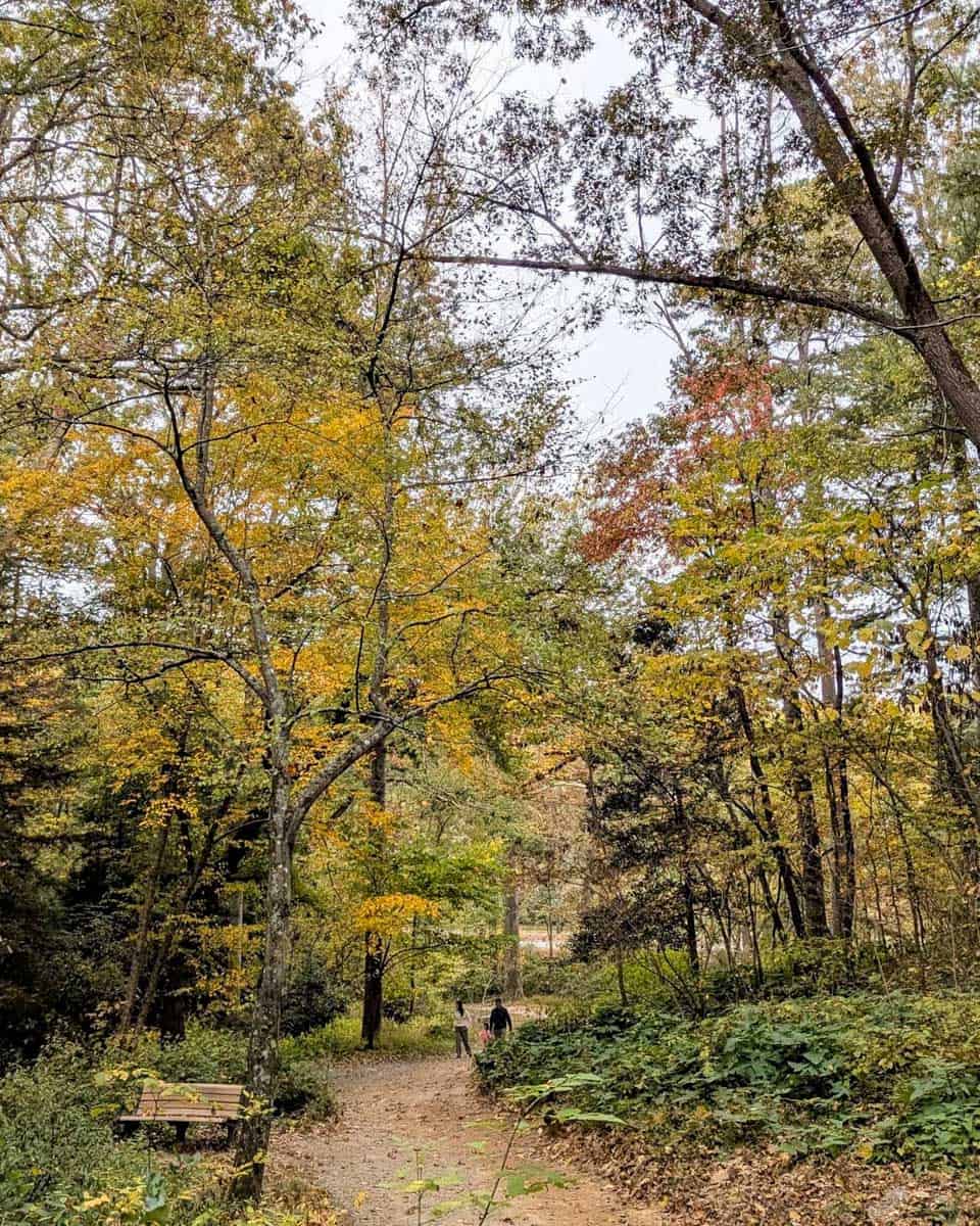 Asheville Botanical Garden in Asheville North Carolina 1