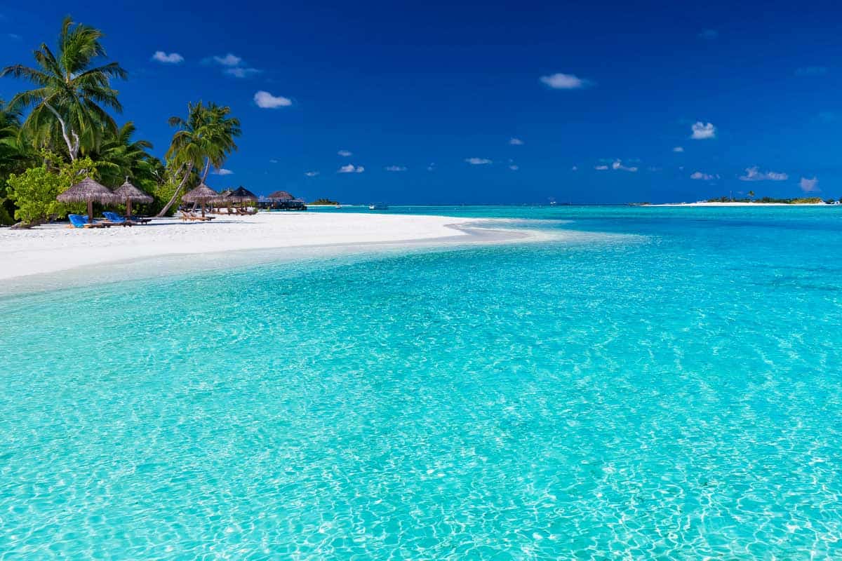 Turquoise waters and white sandy beach in Tahiti with palm trees.