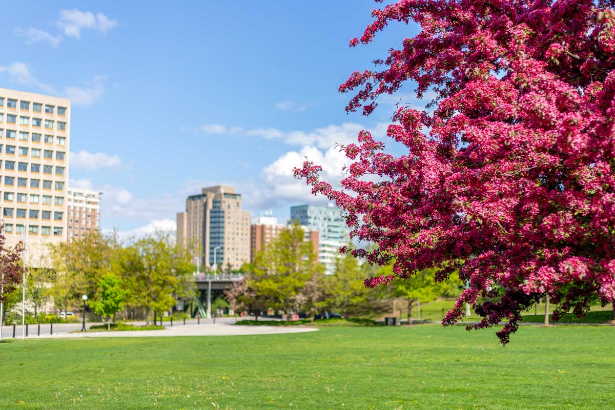 Confederation Park in Ottawa, Ontario, Canada