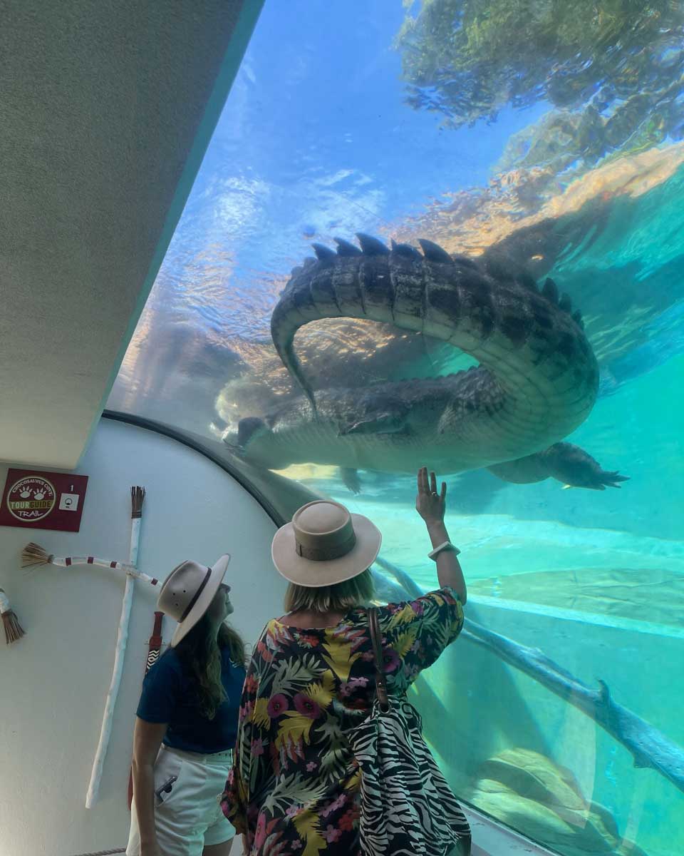 Crocosaurus Cove Darwin in Darwin Australia (1)
