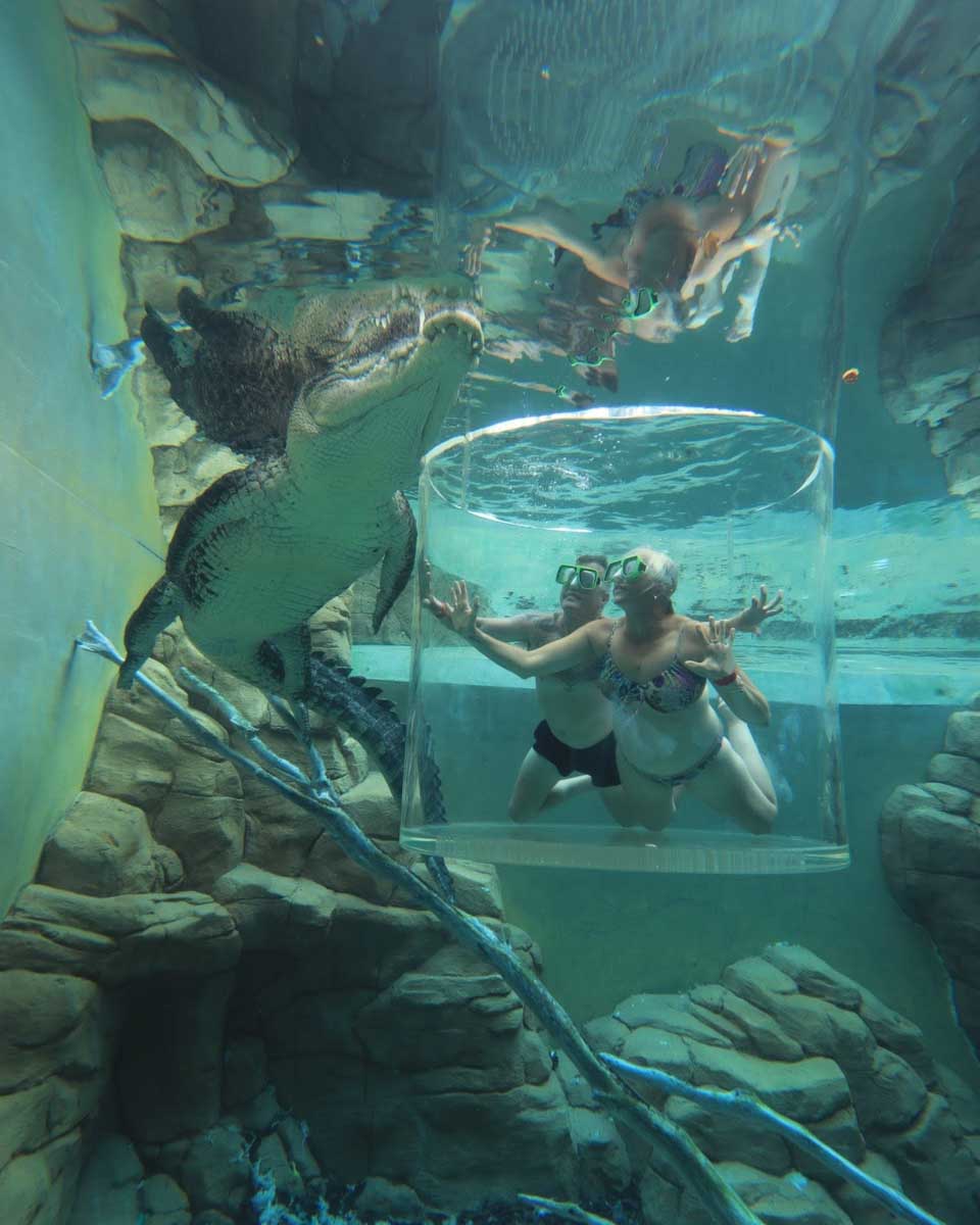 Crocosaurus Cove Darwin in Darwin Australia (2)