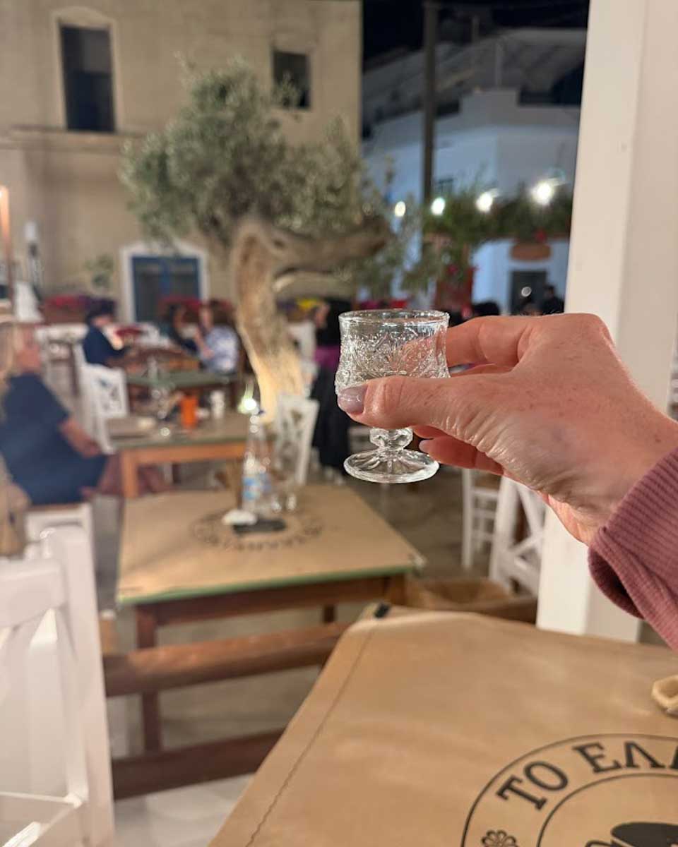 Dinner at Eliniko in Naxos Greece on Hannah trip 1