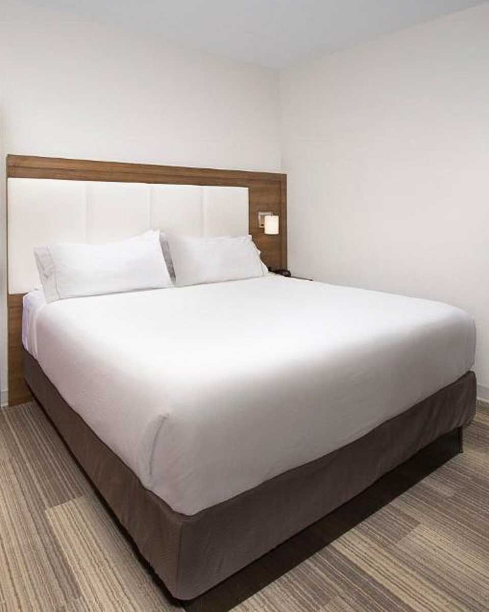 Holiday Inn Express & Suites San Antonio in San Antonio Texas (1)