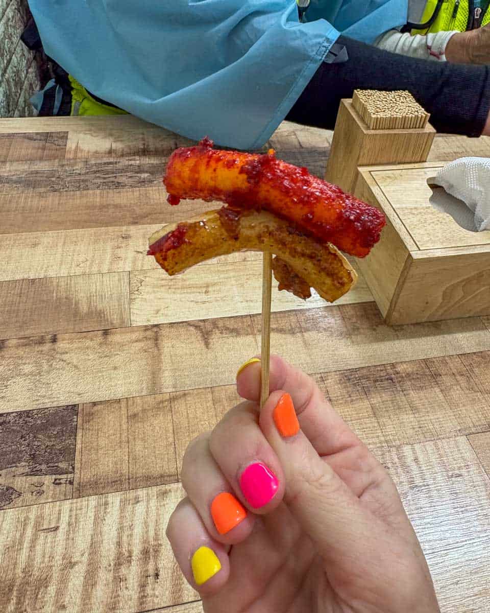 Local snacks eaten on a bike tour in Seoul South Korea