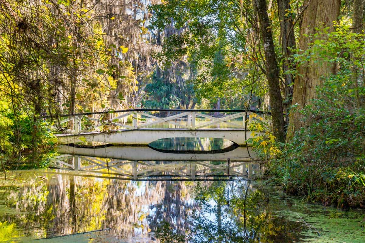 Charleston's 4 Best Neighborhoods and Hotels for Every Stay