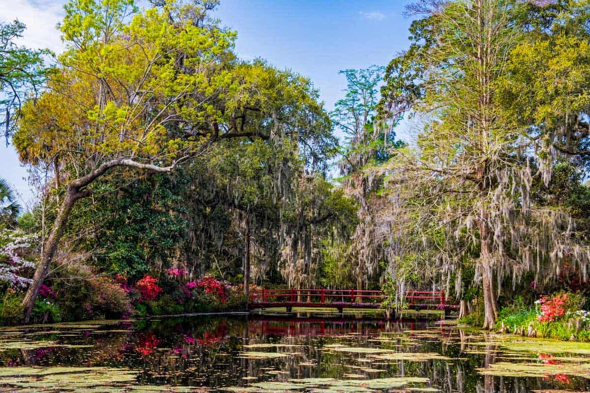 Magnolia Plantation & Gardens near Charleston South Carolina (2)