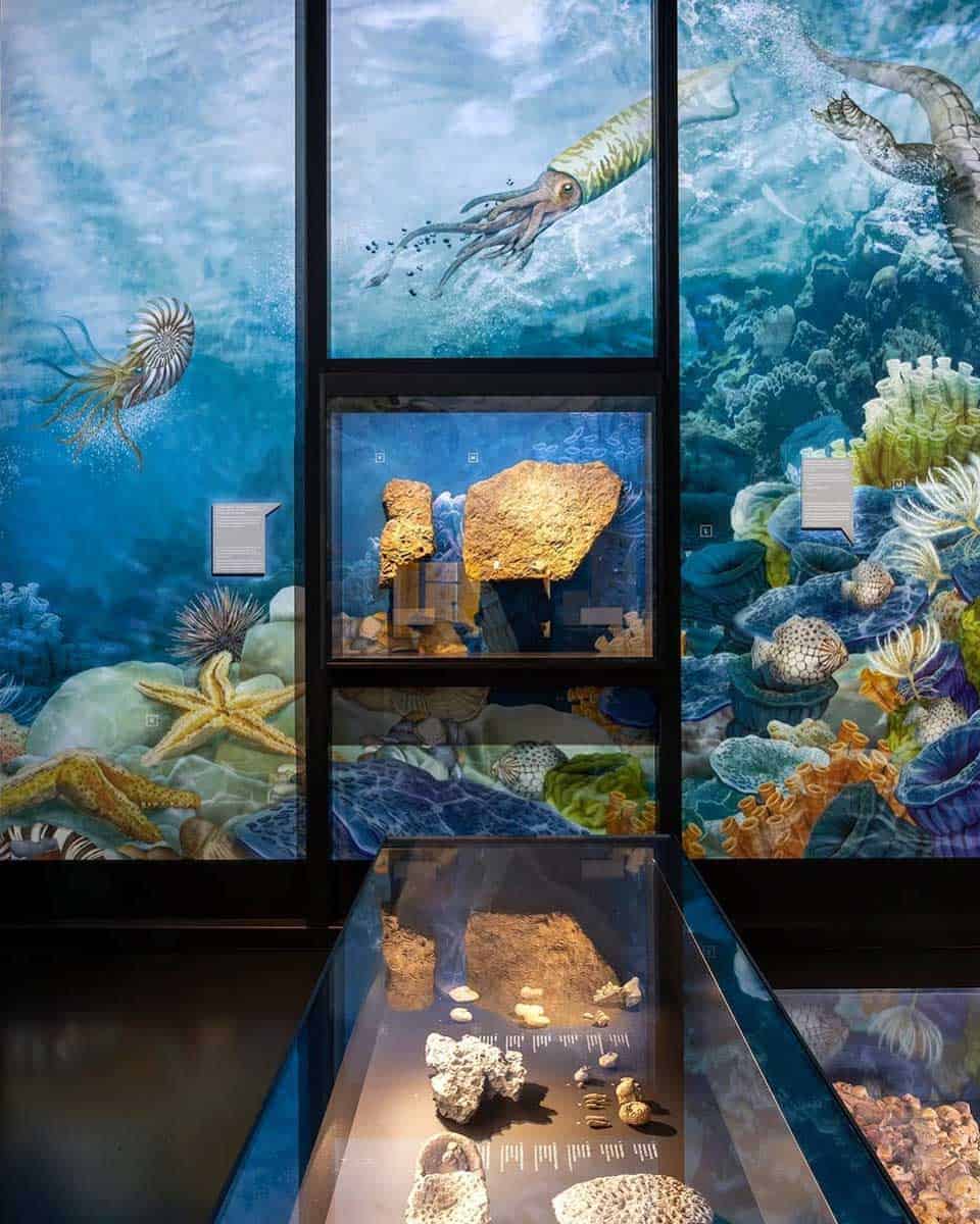 Naturhistorisches Museum Bern in Bern Switzerland